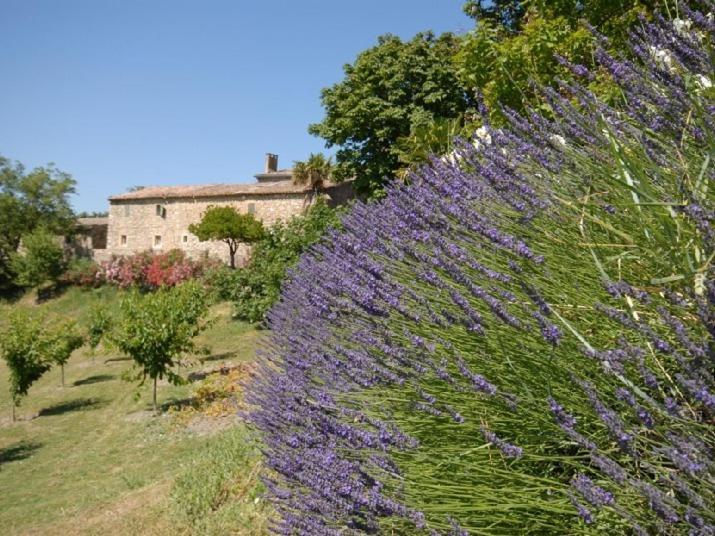 Bed and Breakfast Domaine de Cousignac à Bourg-Saint-Andéol Extérieur photo